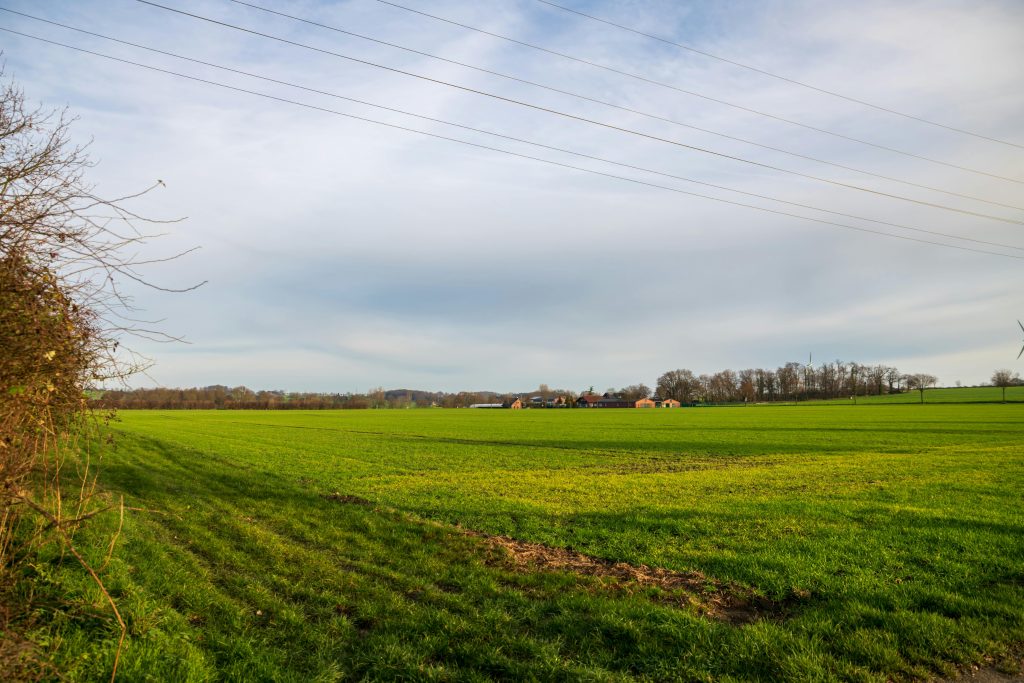 Beautiful green fields under a clear sky, depicting idyllic rural countryside scenery.
